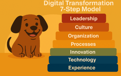 Meet Bruno and our 7-step model for digital transformation